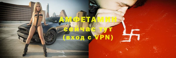 гидра Бородино