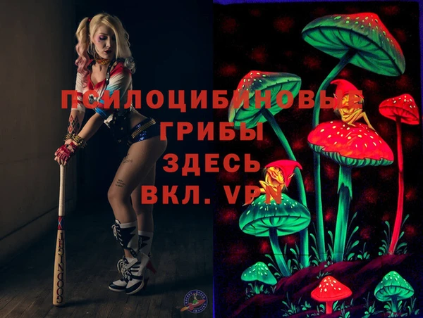 ГАЛЛЮЦИНОГЕННЫЕ ГРИБЫ Белокуриха