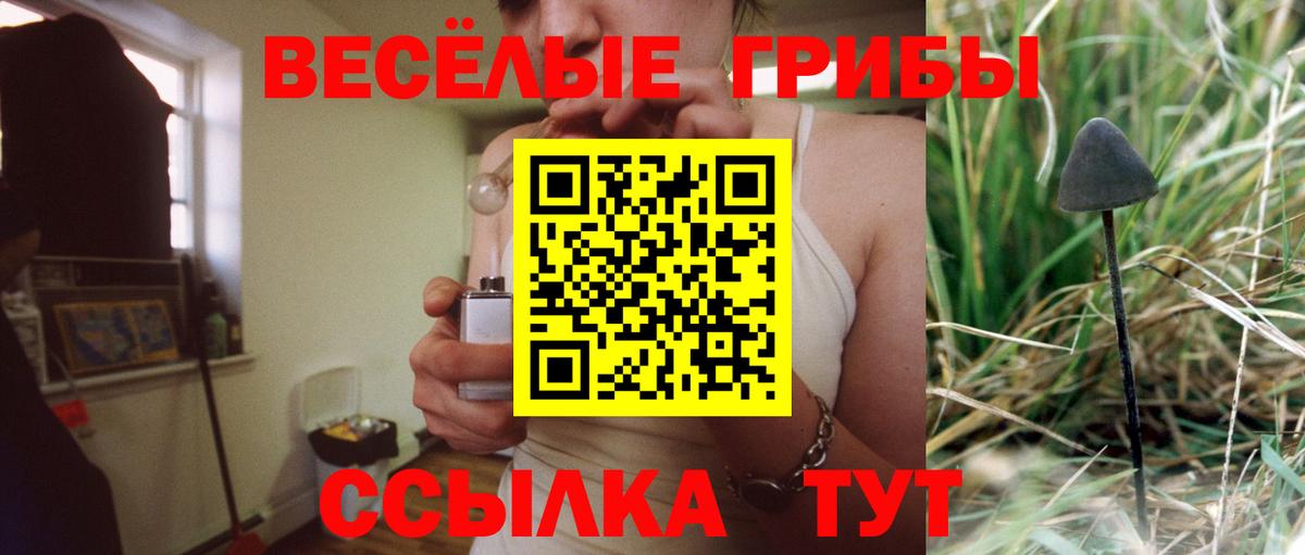 Галлюциногенные грибы Psilocybine cubensis Гай